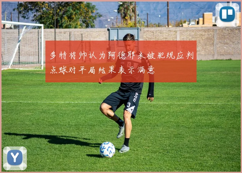 多特将帅认为阿德耶米被犯规应判点球对平局结果表示满意