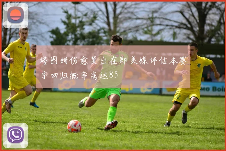塔图姆伤愈复出在即美媒评估本赛季回归概率高达85